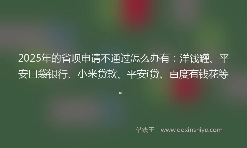 2025年的省呗申请不通过怎么办有：洋钱罐、平安口袋银行、小米贷款、平安i贷、百度有钱花等。