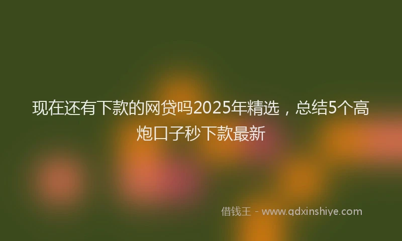 现在还有下款的网贷吗2025年精选，总结5个高炮口子秒下款最新