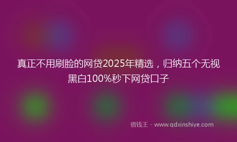 真正不用刷脸的网贷2025年精选，归纳五个无视黑白100%秒下网贷口子