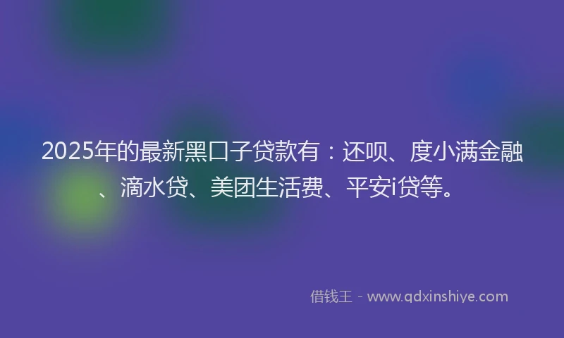 2025年的最新黑口子贷款有：还呗、度小满金融、滴水贷、美团生活费、平安i贷等。