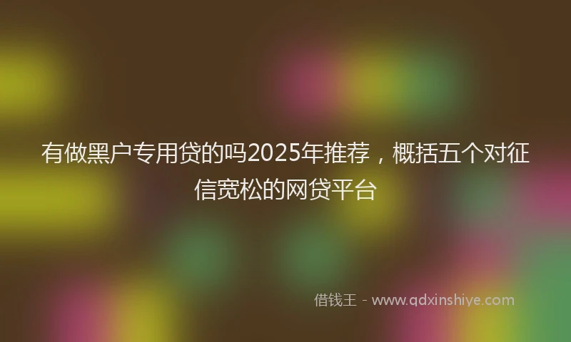 有做黑户专用贷的吗2025年推荐，概括五个对征信宽松的网贷平台