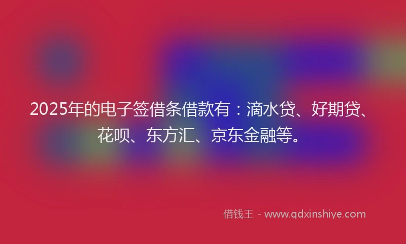 2025年的电子签借条借款有：滴水贷、好期贷、花呗、东方汇、京东金融等。