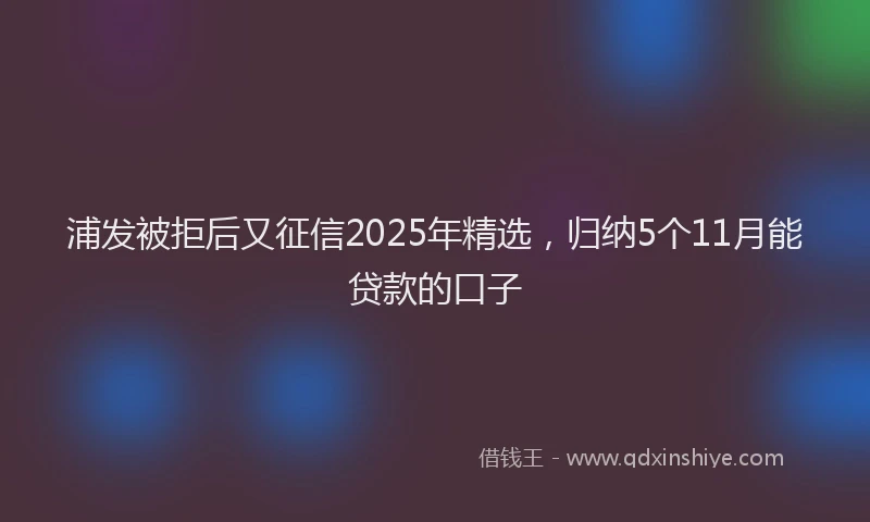 浦发被拒后又征信2025年精选，归纳5个11月能贷款的口子