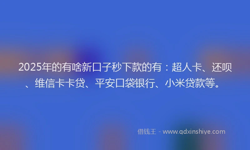 2025年的有啥新口子秒下款的有：超人卡、还呗、维信卡卡贷、平安口袋银行、小米贷款等。