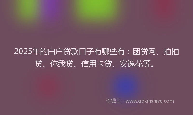 2025年的白户贷款口子有哪些有：团贷网、拍拍贷、你我贷、信用卡贷、安逸花等。
