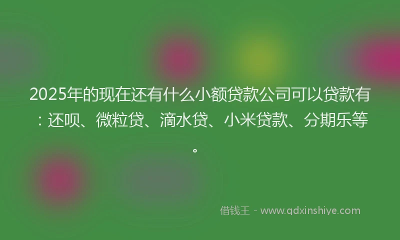 2025年的现在还有什么小额贷款公司可以贷款有：还呗、微粒贷、滴水贷、小米贷款、分期乐等。
