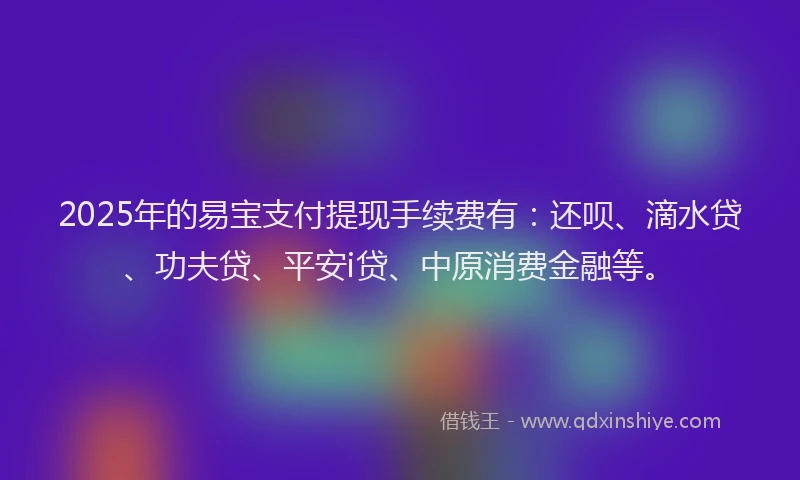 2025年的易宝支付提现手续费有：还呗、滴水贷、功夫贷、平安i贷、中原消费金融等。