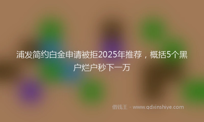 浦发简约白金申请被拒2025年推荐，概括5个黑户烂户秒下一万