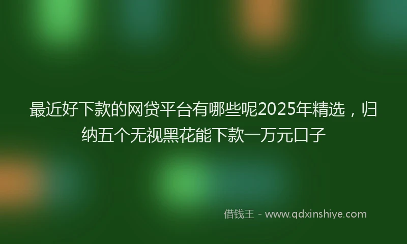 最近好下款的网贷平台有哪些呢2025年精选，归纳五个无视黑花能下款一万元口子