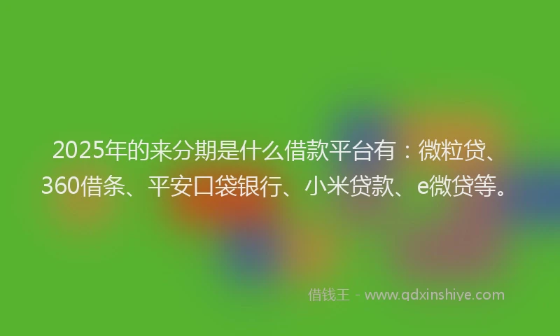 2025年的来分期是什么借款平台有：微粒贷、360借条、平安口袋银行、小米贷款、e微贷等。