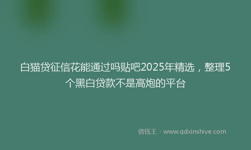 白猫贷征信花能通过吗贴吧2025年精选，整理5个黑白贷款不是高炮的平台