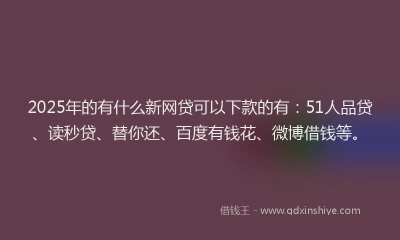 2025年的有什么新网贷可以下款的有：51人品贷、读秒贷、替你还、百度有钱花、微博借钱等。