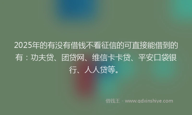 2025年的有没有借钱不看征信的可直接能借到的有：功夫贷、团贷网、维信卡卡贷、平安口袋银行、人人贷等。
