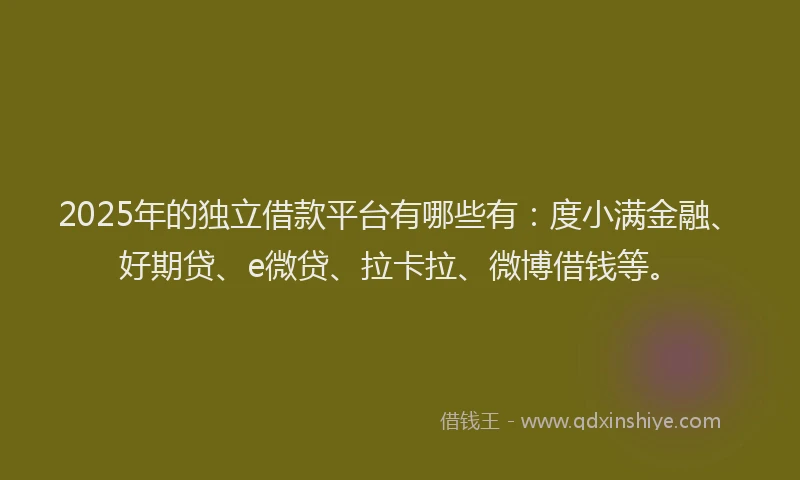 2025年的独立借款平台有哪些有：度小满金融、好期贷、e微贷、拉卡拉、微博借钱等。