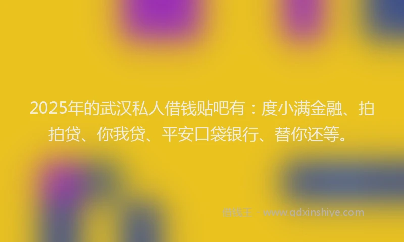 2025年的武汉私人借钱贴吧有：度小满金融、拍拍贷、你我贷、平安口袋银行、替你还等。