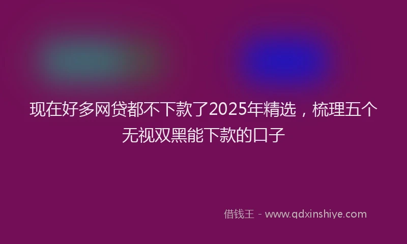 现在好多网贷都不下款了2025年精选，梳理五个无视双黑能下款的口子