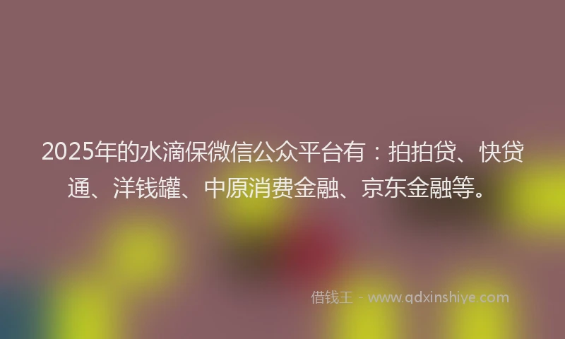 2025年的水滴保微信公众平台有：拍拍贷、快贷通、洋钱罐、中原消费金融、京东金融等。