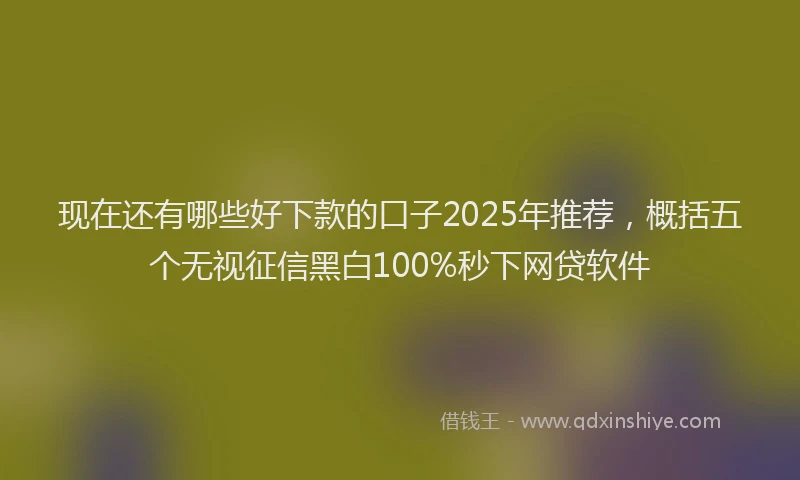 现在还有哪些好下款的口子2025年推荐，概括五个无视征信黑白100%秒下网贷软件