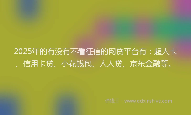 2025年的有没有不看征信的网贷平台有：超人卡、信用卡贷、小花钱包、人人贷、京东金融等。