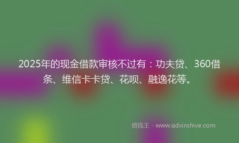 2025年的现金借款审核不过有：功夫贷、360借条、维信卡卡贷、花呗、融逸花等。