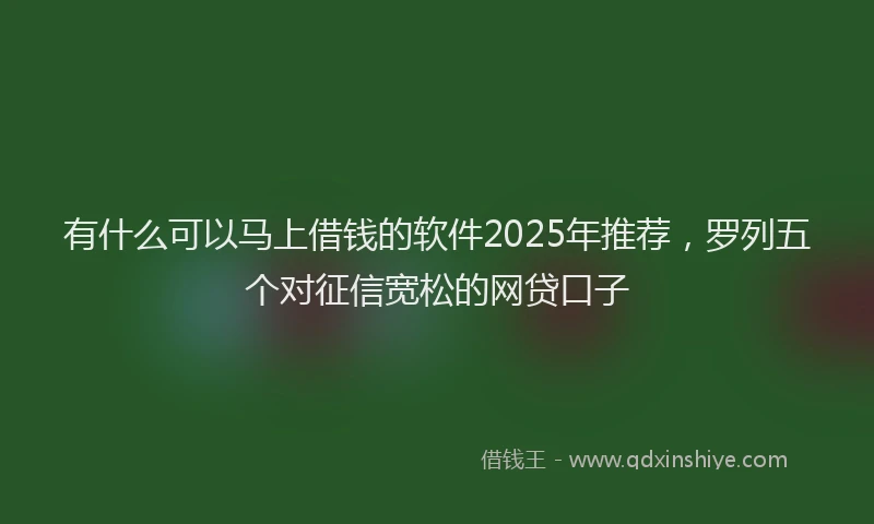有什么可以马上借钱的软件2025年推荐，罗列五个对征信宽松的网贷口子