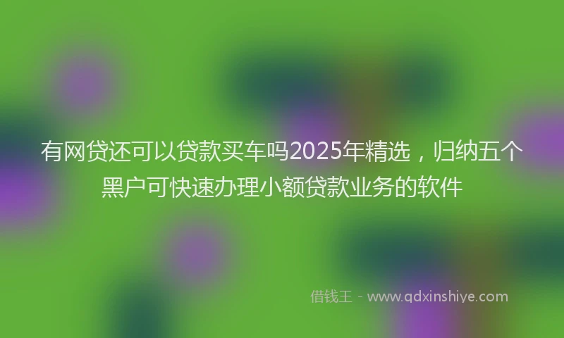 有网贷还可以贷款买车吗2025年精选，归纳五个黑户可快速办理小额贷款业务的软件