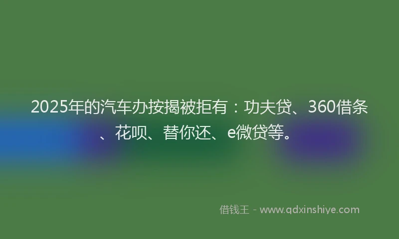 2025年的汽车办按揭被拒有：功夫贷、360借条、花呗、替你还、e微贷等。