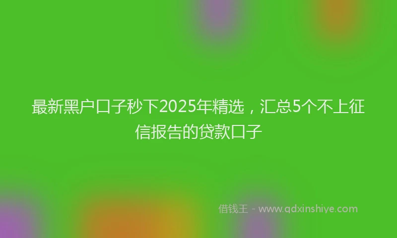 最新黑户口子秒下2025年精选，汇总5个不上征信报告的贷款口子