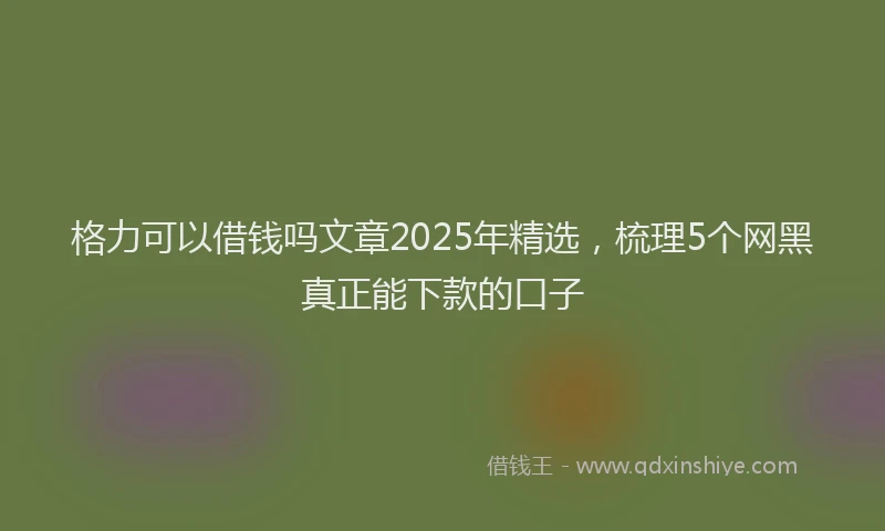 格力可以借钱吗文章2025年精选，梳理5个网黑真正能下款的口子