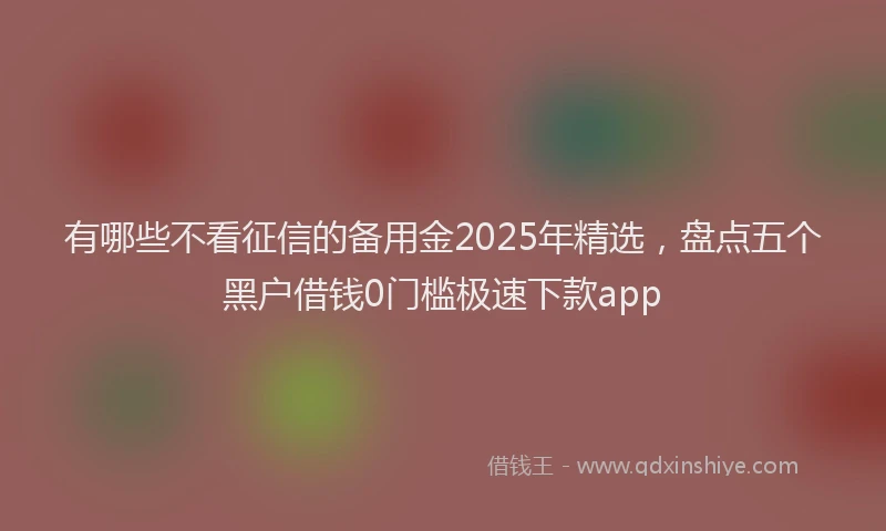 有哪些不看征信的备用金2025年精选，盘点五个黑户借钱0门槛极速下款app