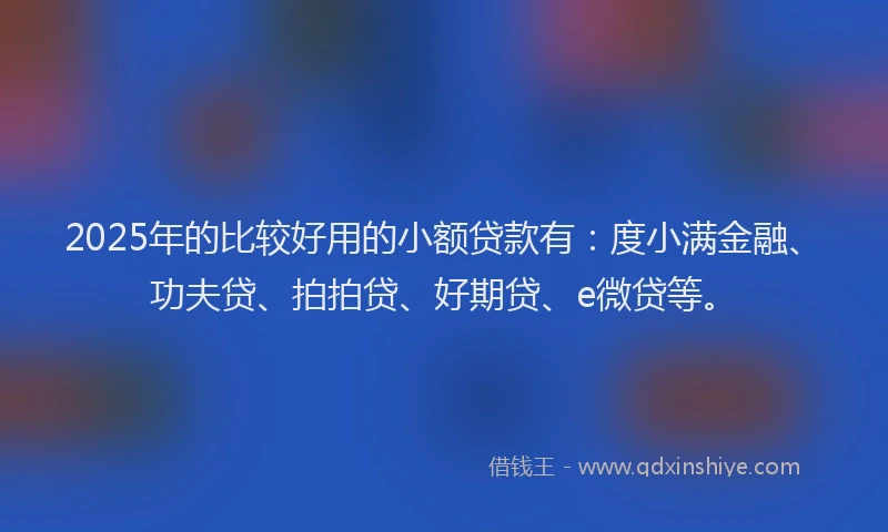 2025年的比较好用的小额贷款有：度小满金融、功夫贷、拍拍贷、好期贷、e微贷等。