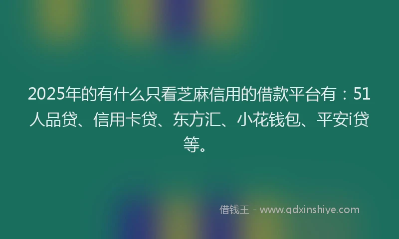 2025年的有什么只看芝麻信用的借款平台有：51人品贷、信用卡贷、东方汇、小花钱包、平安i贷等。