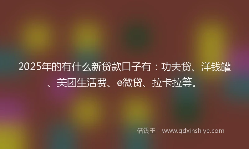 2025年的有什么新贷款口子有：功夫贷、洋钱罐、美团生活费、e微贷、拉卡拉等。