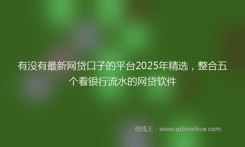有没有最新网贷口子的平台2025年精选，整合五个看银行流水的网贷软件