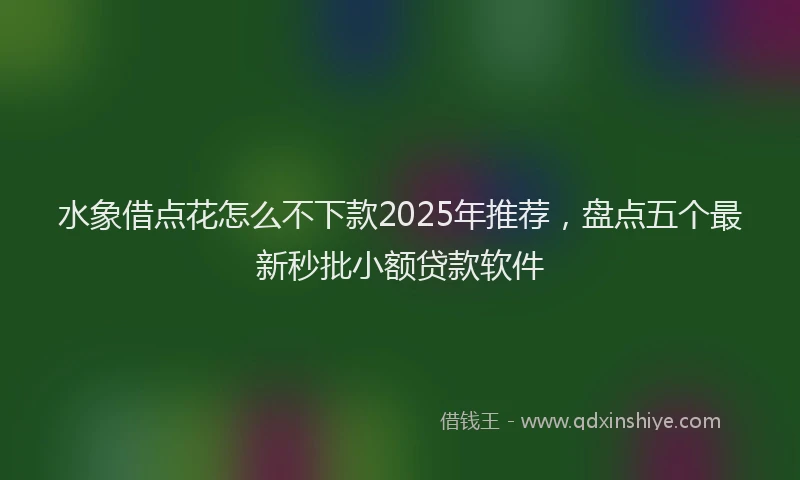 水象借点花怎么不下款2025年推荐，盘点五个最新秒批小额贷款软件