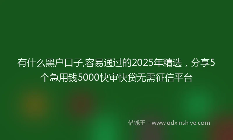 有什么黑户口子,容易通过的2025年精选，分享5个急用钱5000快审快贷无需征信平台