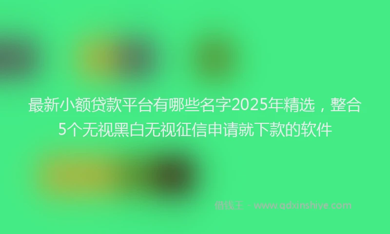 最新小额贷款平台有哪些名字2025年精选，整合5个无视黑白无视征信申请就下款的软件