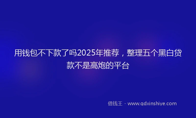 用钱包不下款了吗2025年推荐，整理五个黑白贷款不是高炮的平台