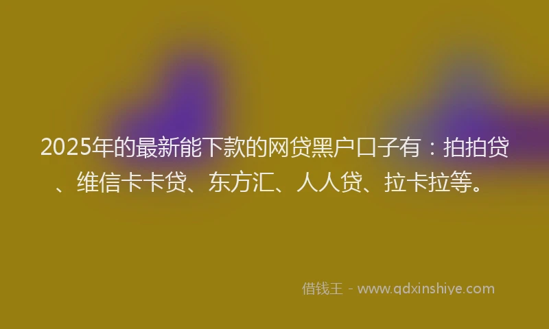 2025年的最新能下款的网贷黑户口子有：拍拍贷、维信卡卡贷、东方汇、人人贷、拉卡拉等。
