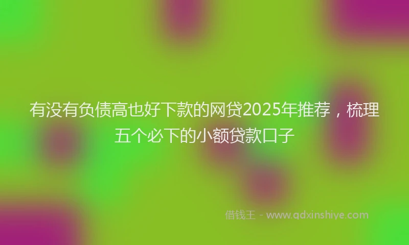 有没有负债高也好下款的网贷2025年推荐，梳理五个必下的小额贷款口子