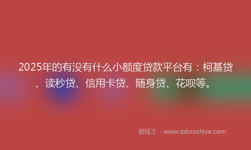 2025年的有没有什么小额度贷款平台有：柯基贷、读秒贷、信用卡贷、随身贷、花呗等。