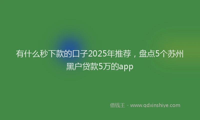 有什么秒下款的口子2025年推荐，盘点5个苏州黑户贷款5万的app