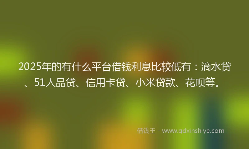 2025年的有什么平台借钱利息比较低有：滴水贷、51人品贷、信用卡贷、小米贷款、花呗等。