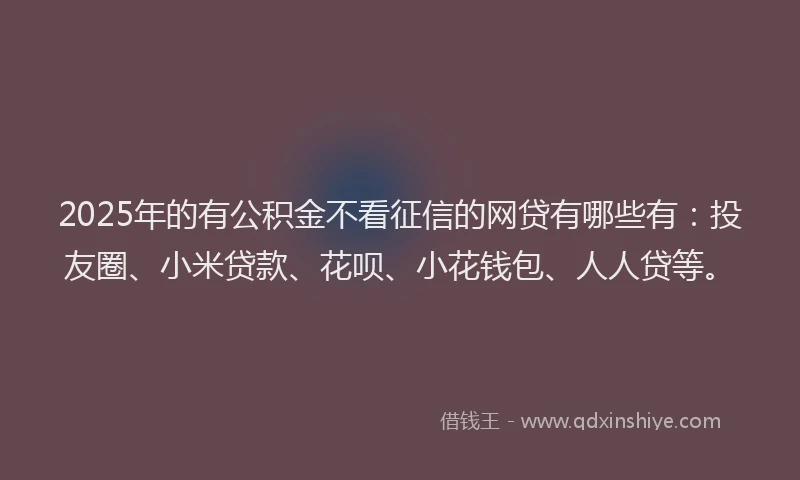 2025年的有公积金不看征信的网贷有哪些有：投友圈、小米贷款、花呗、小花钱包、人人贷等。