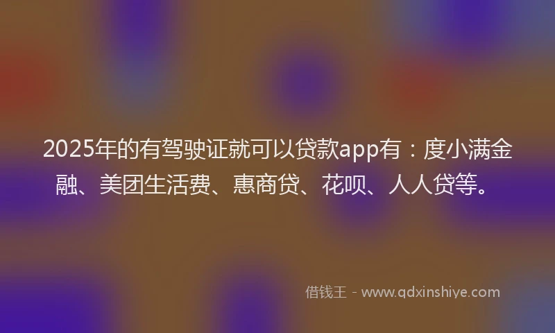 2025年的有驾驶证就可以贷款app有：度小满金融、美团生活费、惠商贷、花呗、人人贷等。