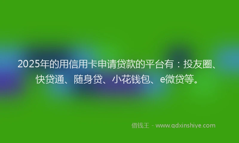 2025年的用信用卡申请贷款的平台有：投友圈、快贷通、随身贷、小花钱包、e微贷等。