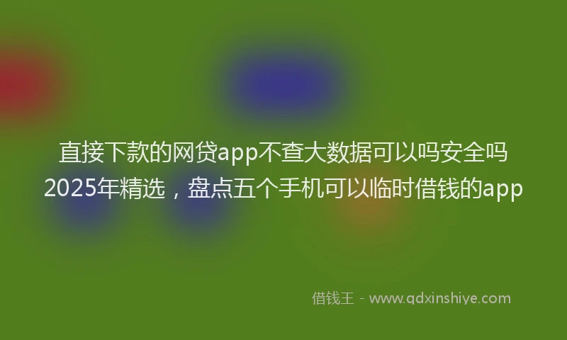 直接下款的网贷app不查大数据可以吗安全吗2025年精选，盘点五个手机可以临时借钱的app