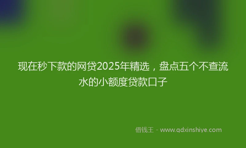 现在秒下款的网贷2025年精选，盘点五个不查流水的小额度贷款口子