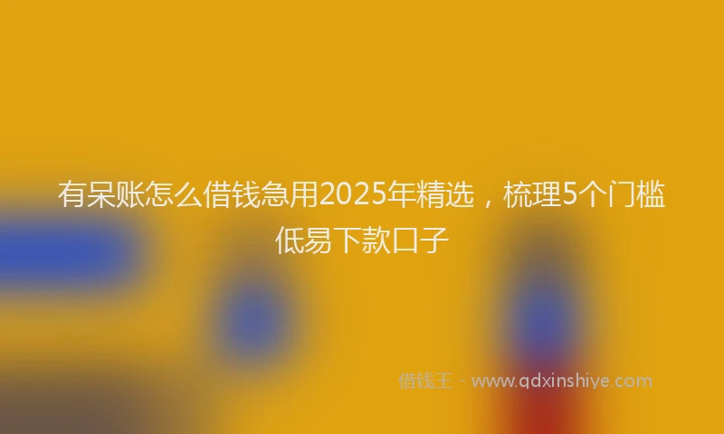 有呆账怎么借钱急用2025年精选，梳理5个门槛低易下款口子