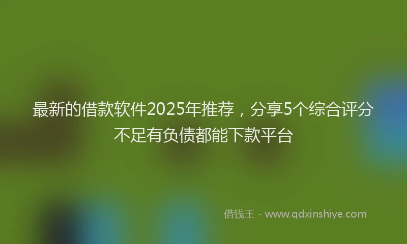 最新的借款软件2025年推荐，分享5个综合评分不足有负债都能下款平台
